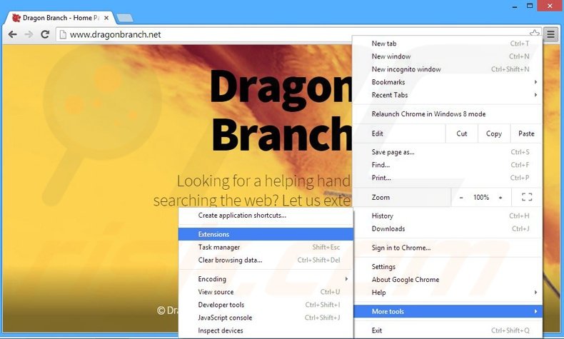 Rimuovere Dragon Branch adware da Google Chrome step 1