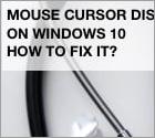 Il cursore del mouse è scomparso su Windows 10. Come risolvere?