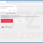 Website used to promote ConverterSearchPlus browser hijacker (Google Chrome) 2