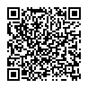 01Flip virus Codice QR