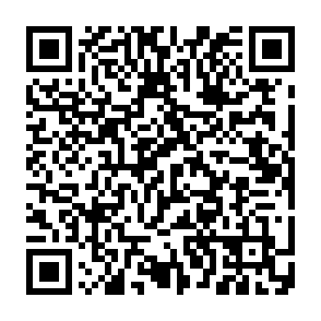 0apt Locker virus Codice QR