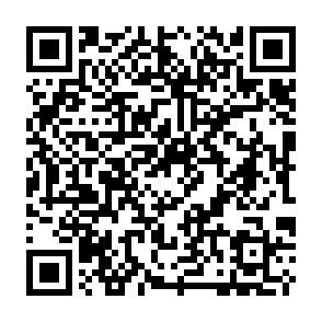 Trojan di accesso remoto AgtaBackup Codice QR