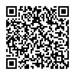 Aldet virus Codice QR