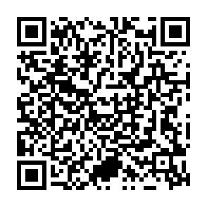 ApolloShadow virus Codice QR