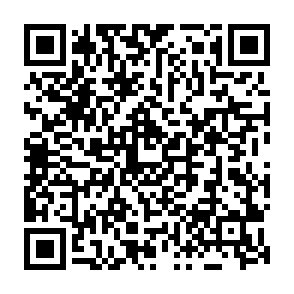 Asyl virus Codice QR