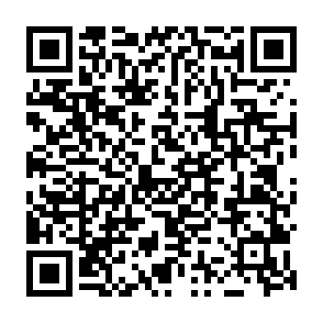 Malware loader AvisLoader Codice QR