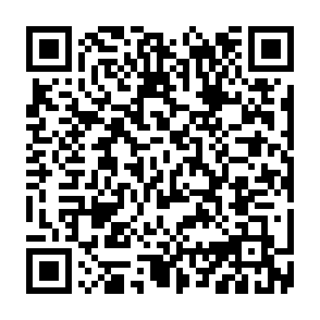 BackLock virus Codice QR
