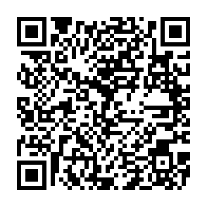 BambooToken backdoor Codice QR