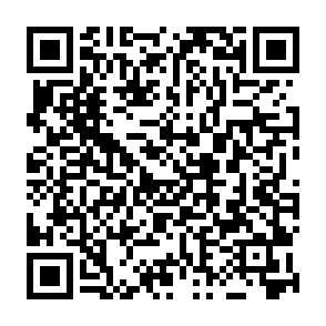 Bbq virus Codice QR