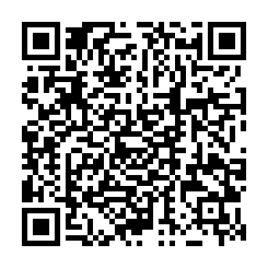 BeFirst virus Codice QR