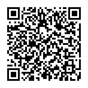 BOFAMET ladro di informazioni Codice QR