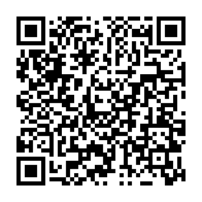 BoryptGrab programma per il furto di dati Codice QR