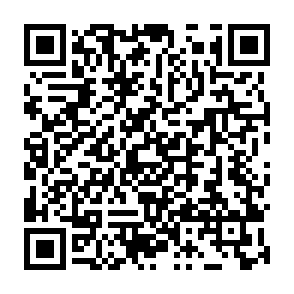 Bricks virus Codice QR