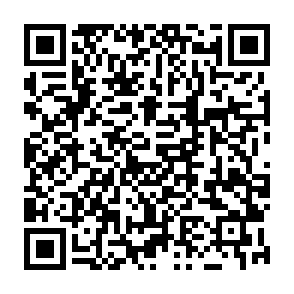 virus Calipso Codice QR