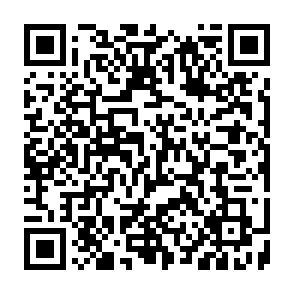 CCLand virus Codice QR