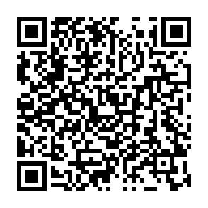 Cooked virus Codice QR