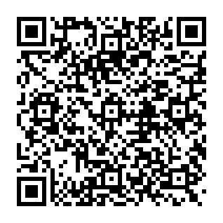 Virus CrashStealer Codice QR