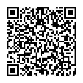 CRFILE virus Codice QR