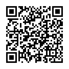 Crysis virus Codice QR
