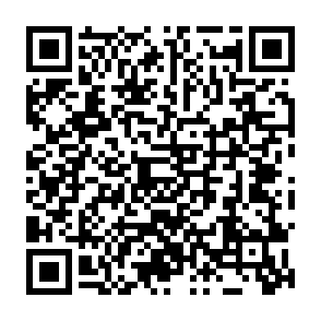 Dante ladro Codice QR