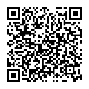 DarkCloud malware Codice QR