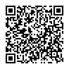 DeerStealer ladro di informazioni Codice QR