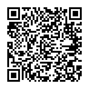 Developer virus Codice QR