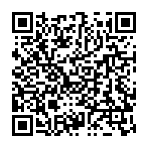 Devill virus Codice QR