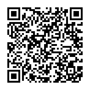 DEVMAN 21 virus Codice QR