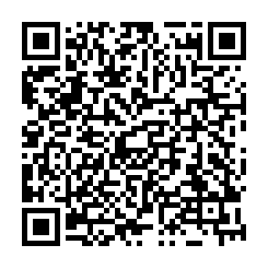 Trojan di accesso remoto Dolphin X Codice QR