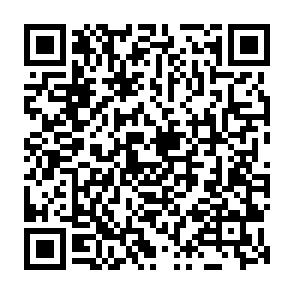 EKZ infostealer Codice QR