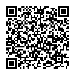 Evolution information stealer Codice QR