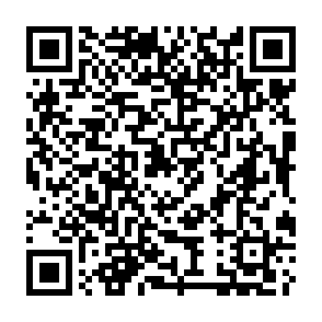 virus Face Melter Codice QR