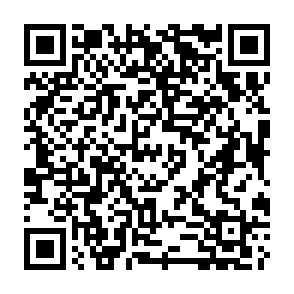 Fake Xeno script executor Codice QR
