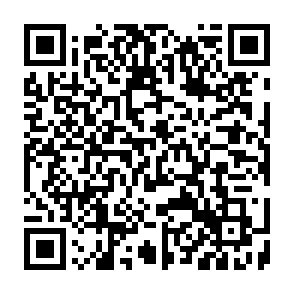 Fiasco virus Codice QR