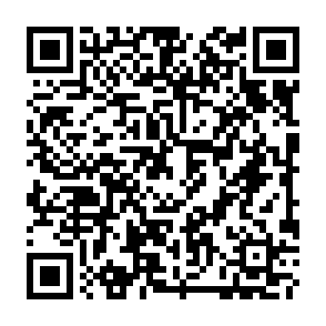 Gentlemen virus Codice QR