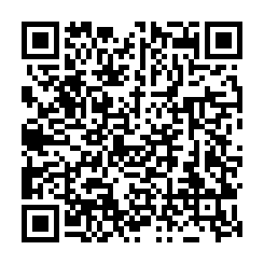 Sito web fraudolento Grass Airdrop Codice QR