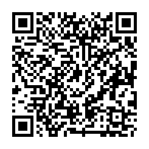 GrokPy stealer Codice QR
