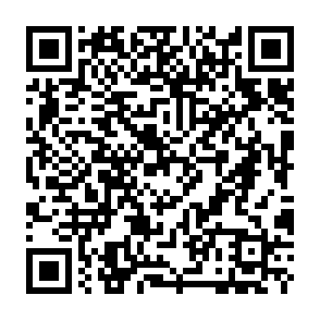 Has virus Codice QR