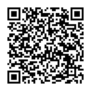 Hitler virus Codice QR