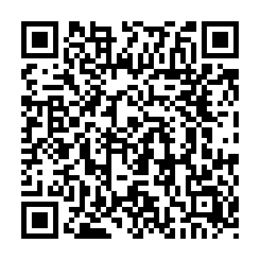 Hnx911 virus Codice QR