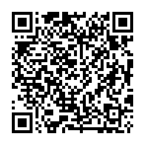 Hommy virus Codice QR