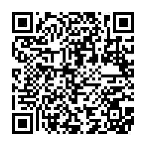 Hudson virus Codice QR