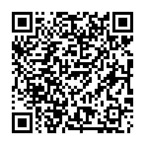 HybridPetya virus Codice QR