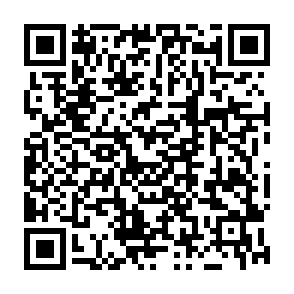 Virus HYFLOCK Codice QR