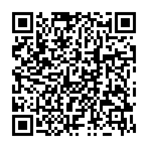 Jokdach virus Codice QR