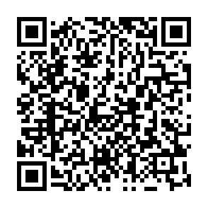 JSCEAL ladro di informazioni Codice QR