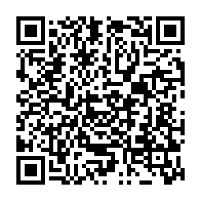 Karma Group virus Codice QR