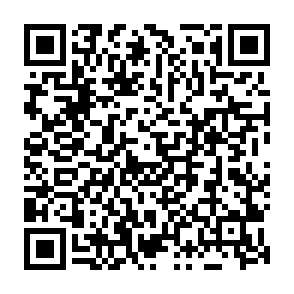 virus KIMO Codice QR