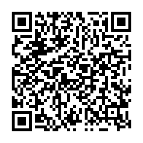 Kora virus Codice QR